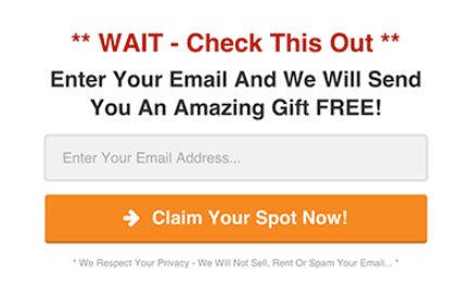 Paid Search to Build Email Database