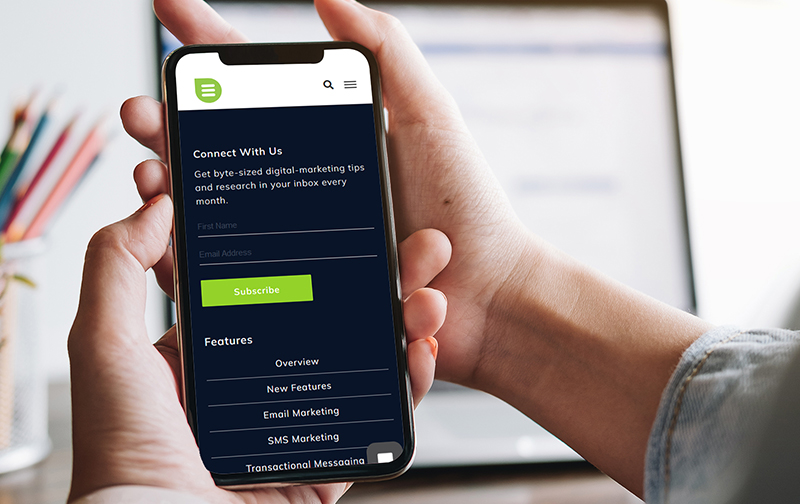 Everlytic Blog Subscription Form Best Practices Blog Image 2