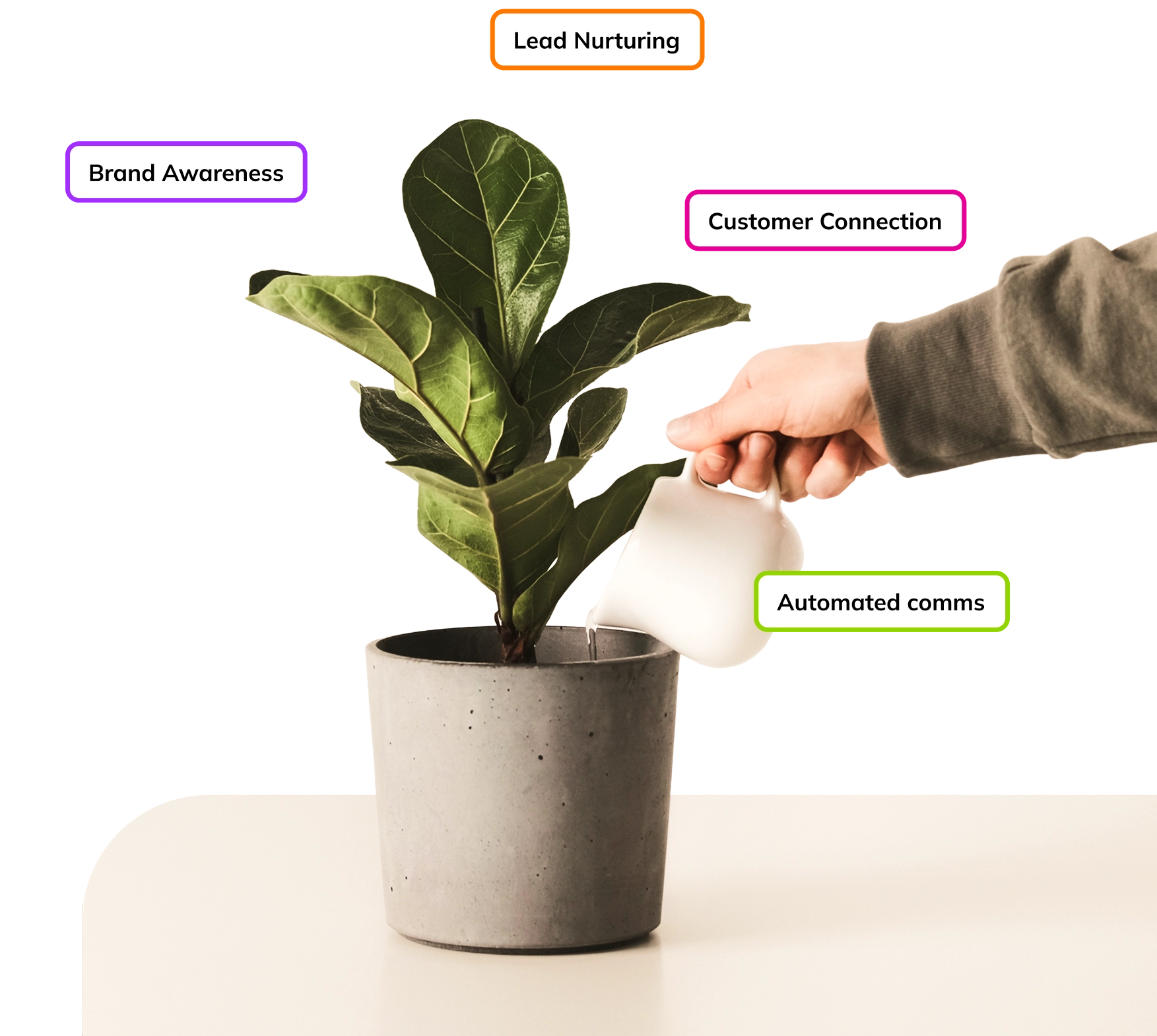 everlytics solutions start up main img