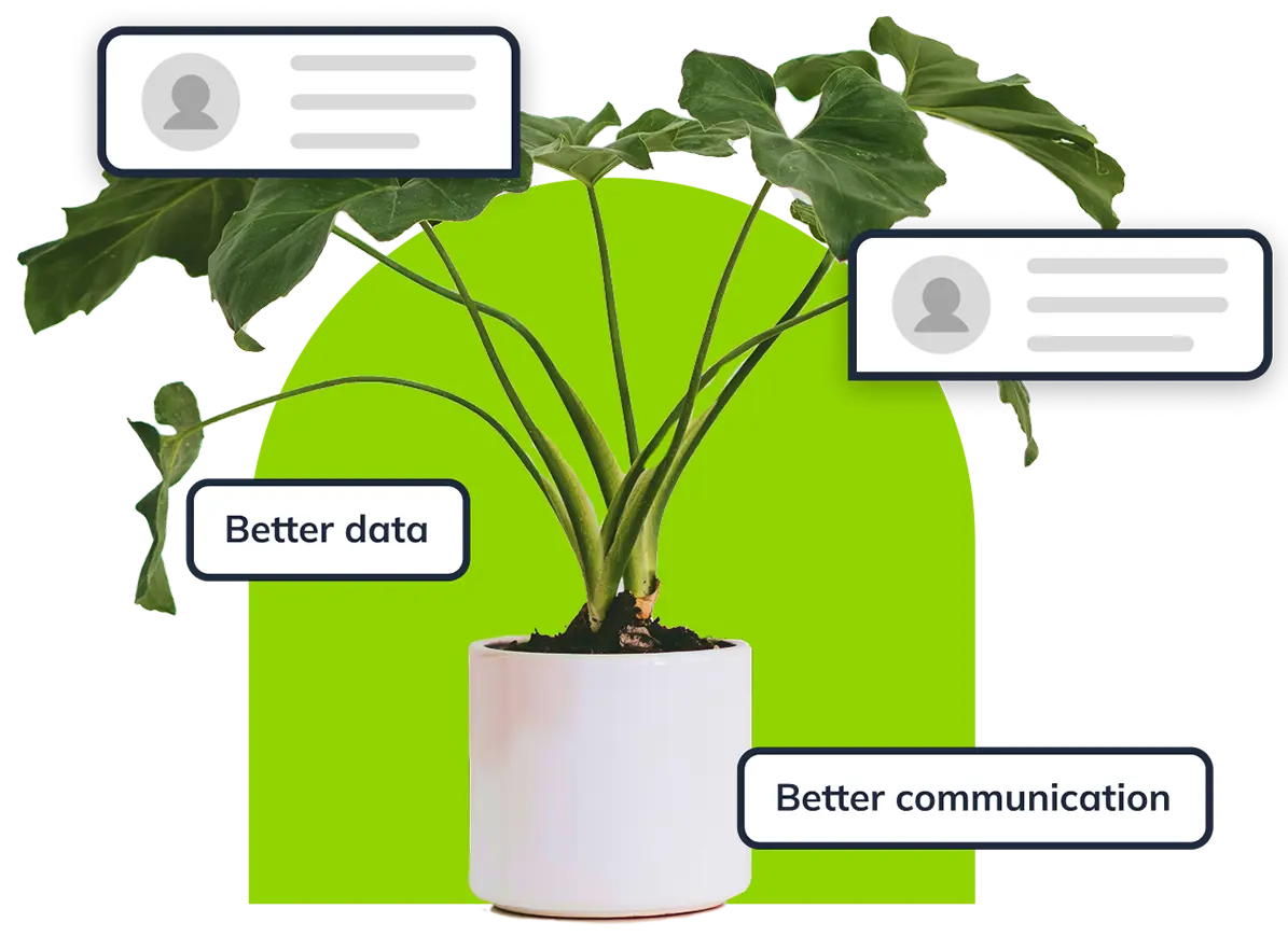 A plant with a green shape.