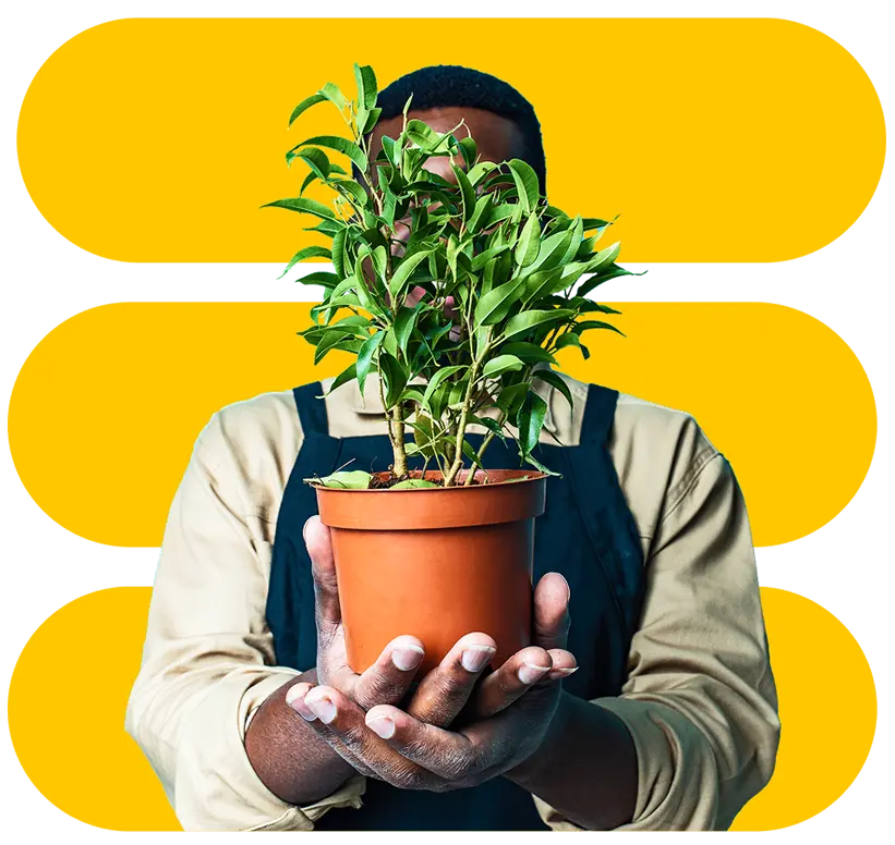 smart subscription forms img2