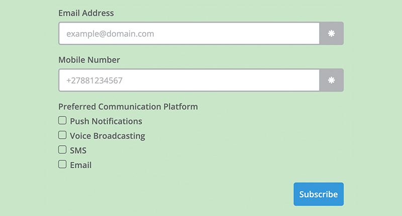 A No-Nonsense Guide to Message Personalisation in Email_Everlytic Blog_Custom Fields in Subscription Form